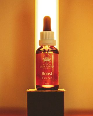 Boost - Podpora Úžasná esence pro dnešní dobu, kdy je většina z nás přecitlivělá, cítí se přetížená, vyvedena z rovnováhy,...