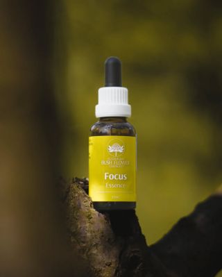 Esence Focus Nahrazuje již známou esenci Cognis. Nechce se vám do učení nebo se potřebujete soustředit, můžete vyzkoušet...